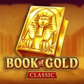 game logo by Playson on wintinoo.it