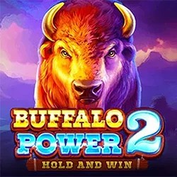 Slots logo of Buffalo Power 2: Hold and Win from Playson at Wintino Casino