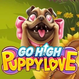 game logo by RubyPlay on wintinoo.it
